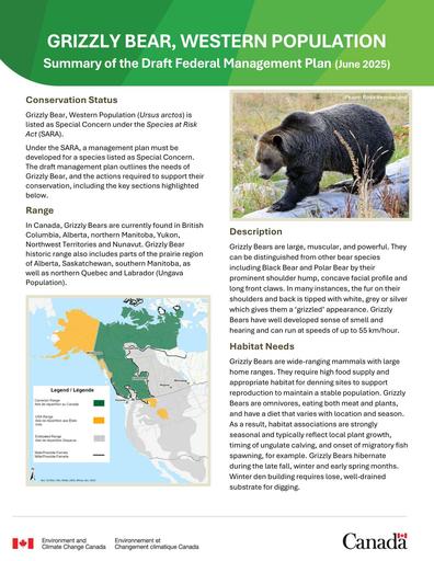 TAB6B_ECCC SUPPORTING DOCUMENTS_Grizzly bear management plan_ENG